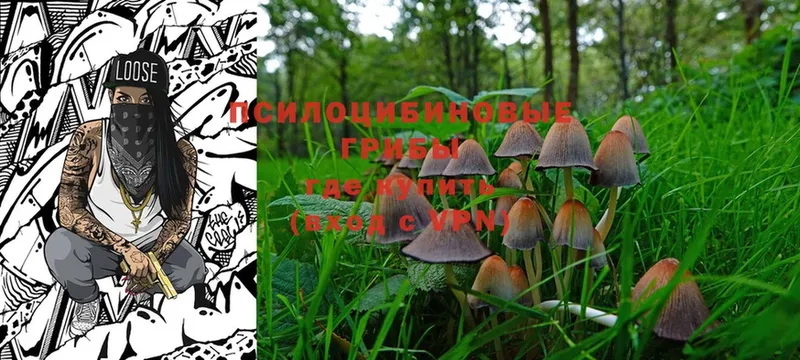 Псилоцибиновые грибы Magic Shrooms  Воскресенск 